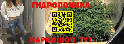 спайс Коммунар