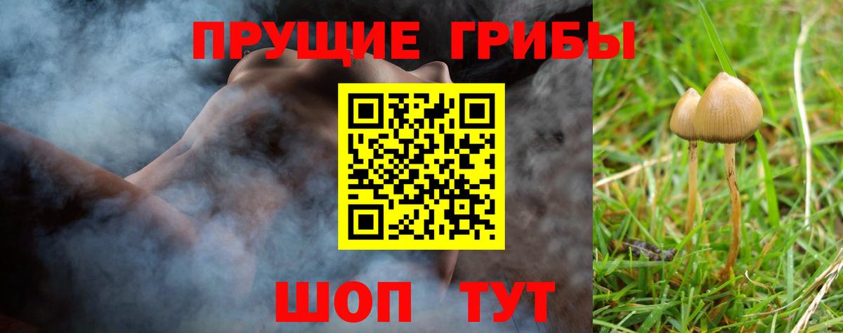 Галлюциногенные грибы прущие грибы Югорск